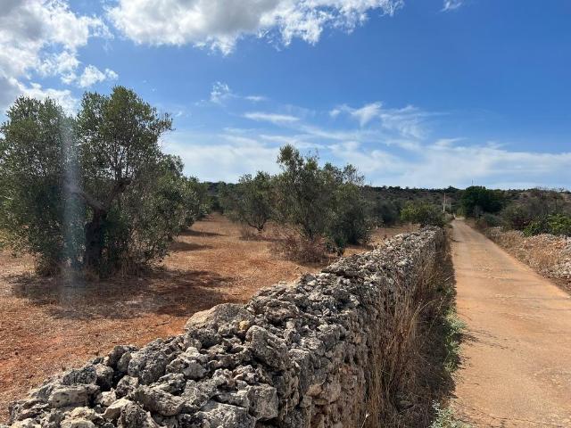 Terreno agricolo in vendita a Gallipoli