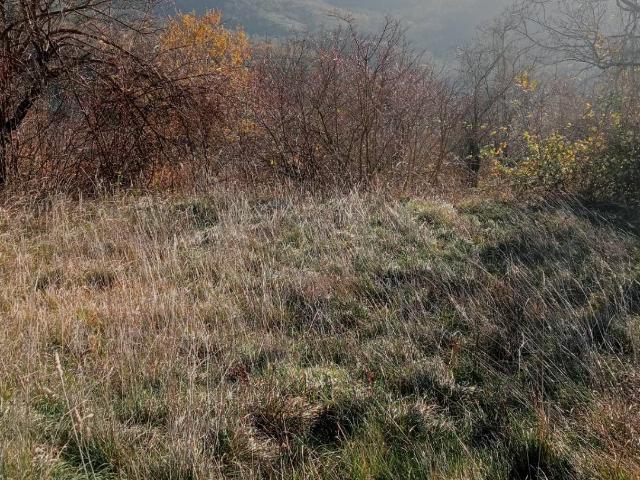 Terreno Agricolo in vendita a Genga