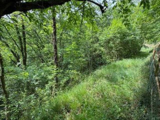 Terreno agricolo in vendita a Genova