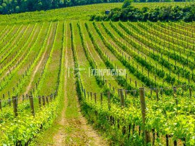 Terreno agricolo in vendita a Gerenzano