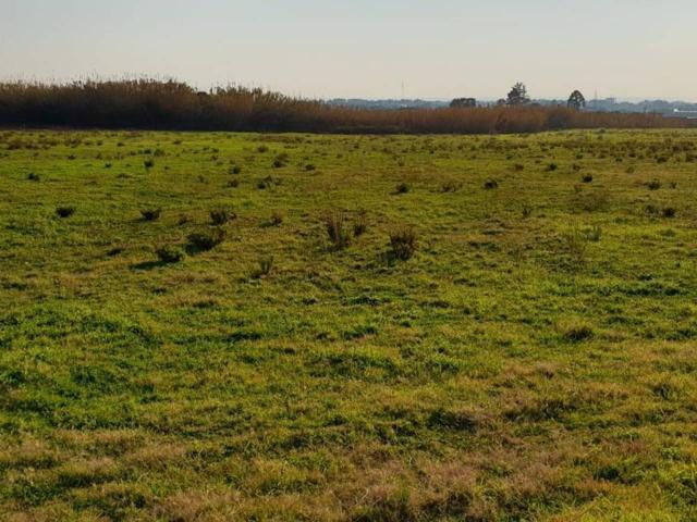 Terreno agricolo in vendita a Giffoni Valle Piana