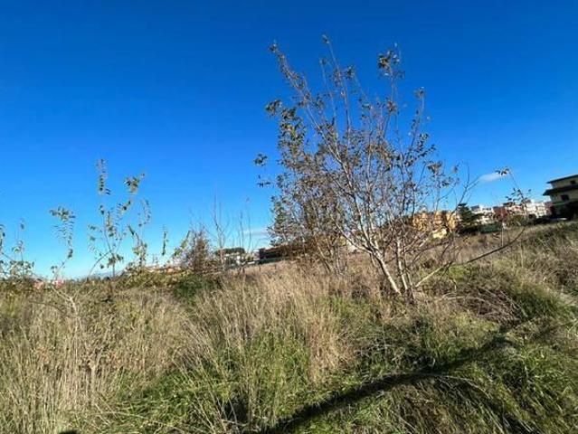 Terreno agricolo in vendita a Giugliano In Campania