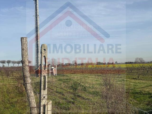 Terreno Agricolo in vendita a Giugliano in Campania, Varcaturo