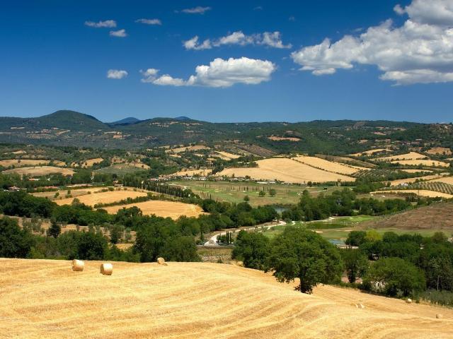 Terreno agricolo in vendita a Grosseto