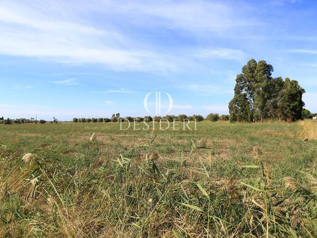 Terreno agricolo in vendita a Grosseto