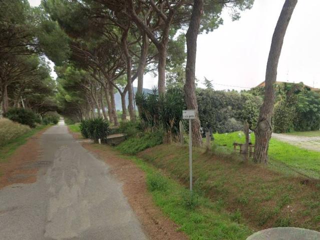 Terreno agricolo in Vendita a Grosseto