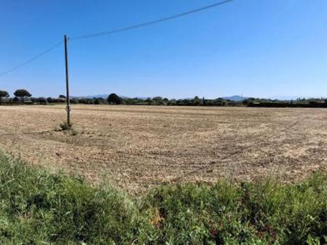 Terreno agricolo in vendita a Grosseto 22000 mq Rif: 1407583
