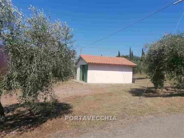 TERRENO AGRICOLO in VENDITA a GROSSETO AURELIA SUD