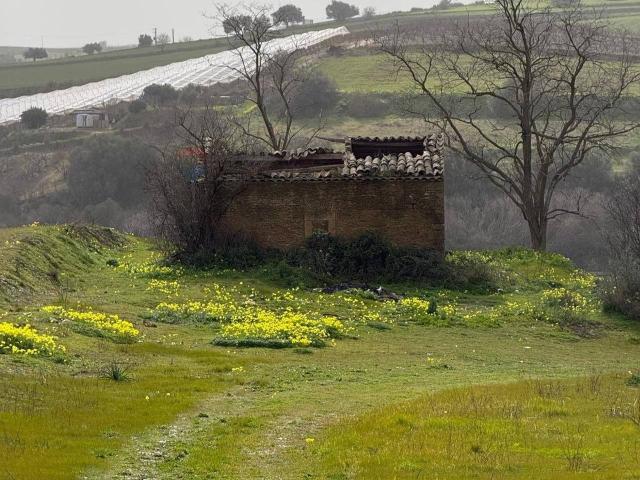 Terreno agricolo in vendita a Grammichele