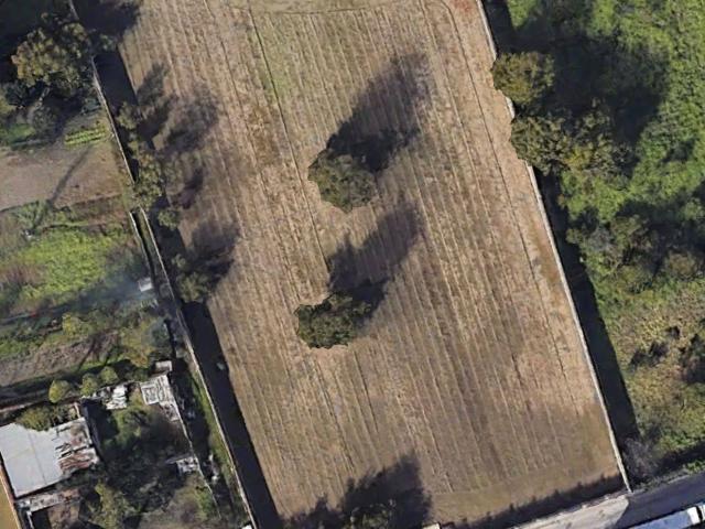 Terreno Agricolo in vendita a Grumo Nevano