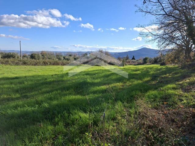 Terreno Agricolo in vendita a Guardialfiera