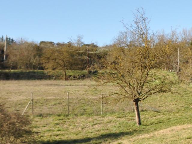 TERRENO AGRICOLO in VENDITA a IMPRUNETA TAVARNUZZE