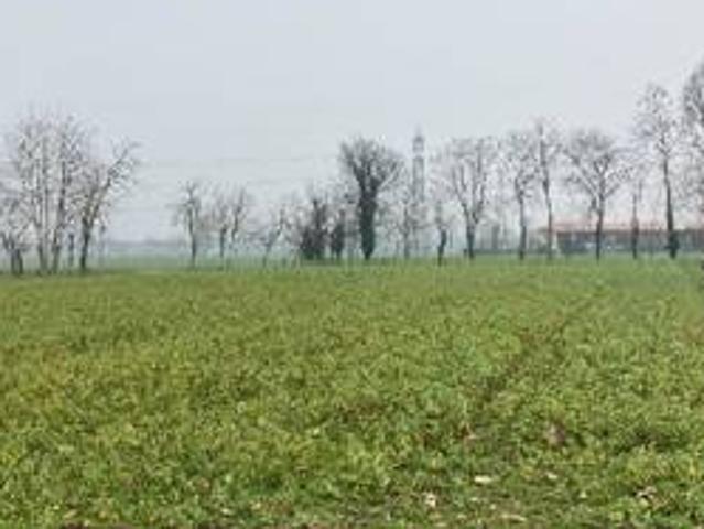 Terreno Agricolo in vendita a Inzago