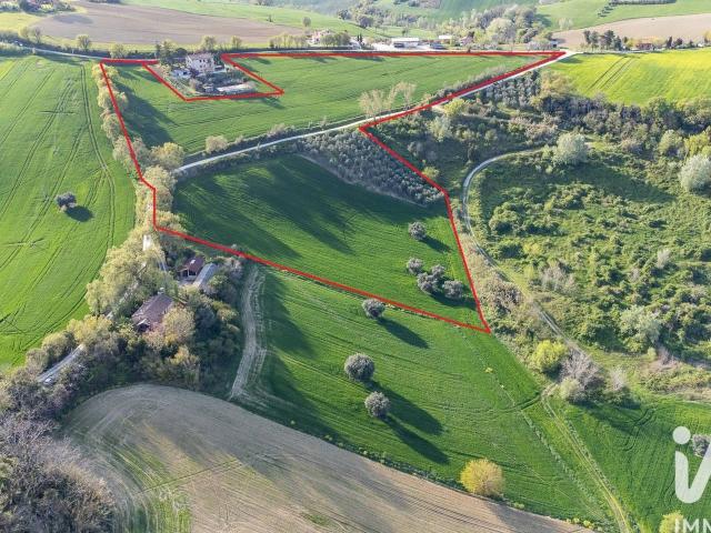 Terreno agricolo in vendita a Jesi