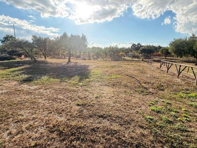 Terreno agricolo in vendita a Lamezia Terme