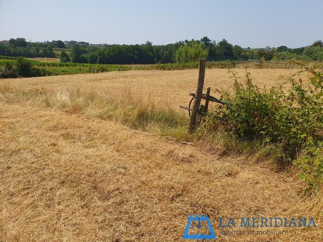 Terreno agricolo in Vendita a Lamporecchio