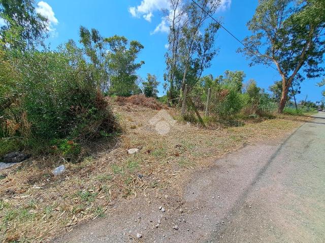 Terreno agricolo in vendita a Latina