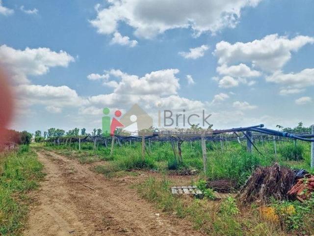 Terreno agricolo in vendita a Latina