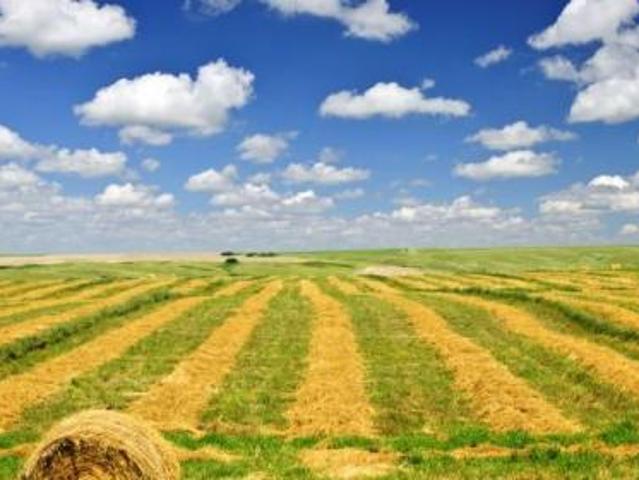 Terreno agricolo in vendita a Lavaiano Casciana Terme Lari 70000 mq Rif: 983221