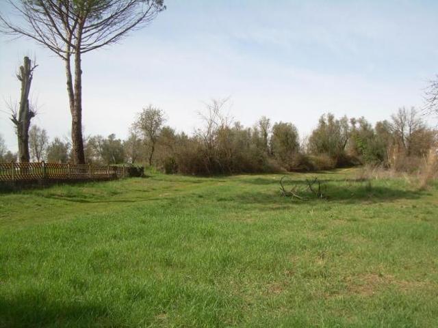 Terreno agricolo in vendita a Lazzeretto Cerreto Guidi 42000 mq Rif: 1296719