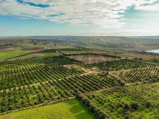 Terreno agricolo in vendita a Lentini