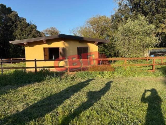 Terreno agricolo in vendita a Livorno