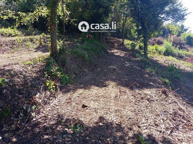 Terreno agricolo in vendita a Livorno