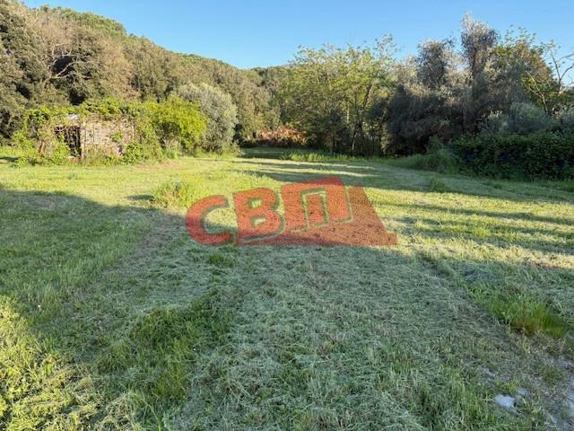 Terreno agricolo in Vendita a Livorno