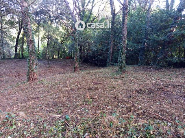Terreno agricolo in vendita a Livorno