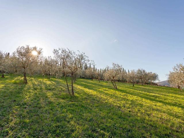 Terreno agricolo in vendita a Luni
