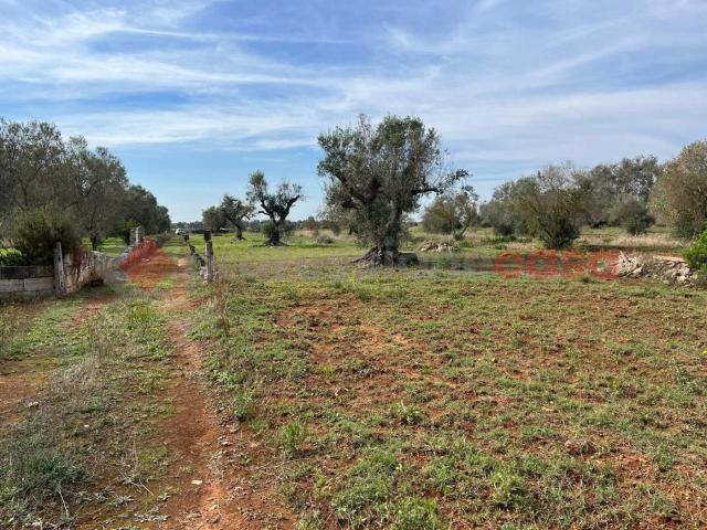 Terreno agricolo in vendita a Manduria