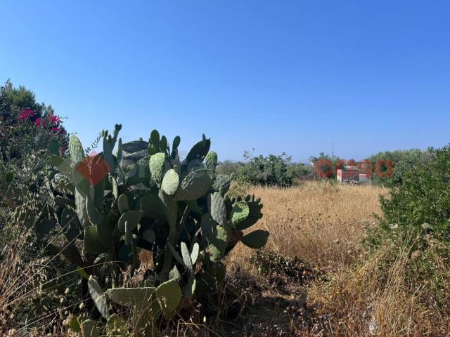 Terreno Agricolo in vendita a Manduria