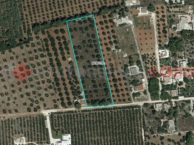 Terreno agricolo in vendita a Manduria