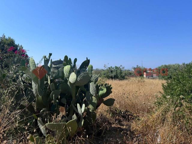 Terreno agricolo in vendita a Manduria
