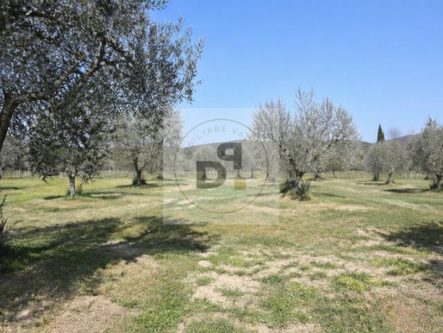 Terreno agricolo in Vendita a Manerba del Garda