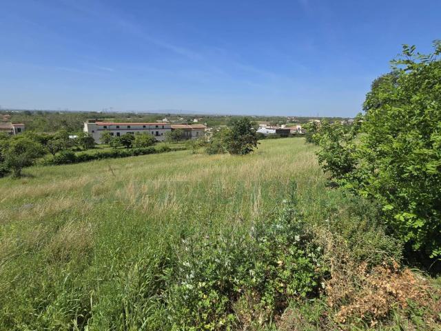 Terreno agricolo in Vendita a Maddaloni