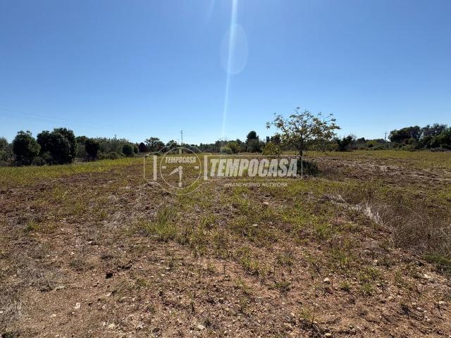 Terreno agricolo in vendita a Maglie