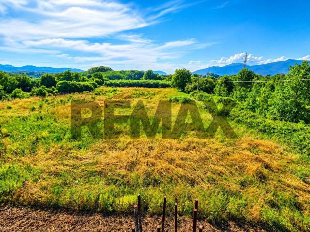 Terreno agricolo in vendita a Marzano Appio