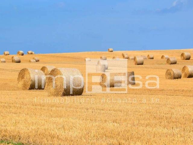 Terreno agricolo in vendita a Marcon