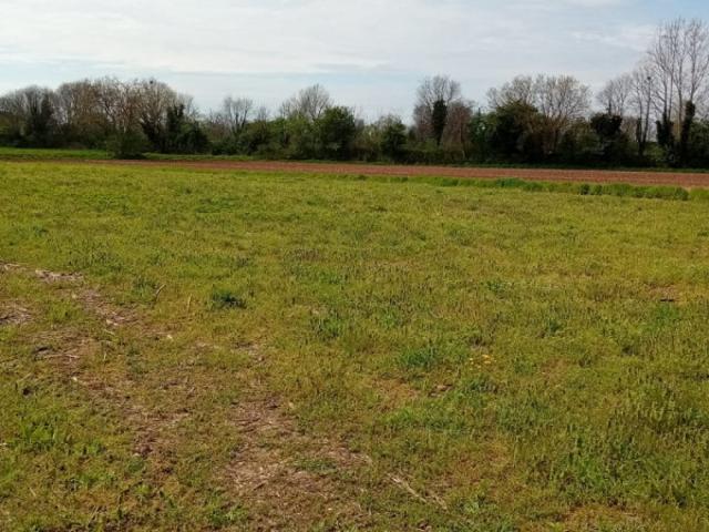 Terreno agricolo in Vendita a Marmirolo