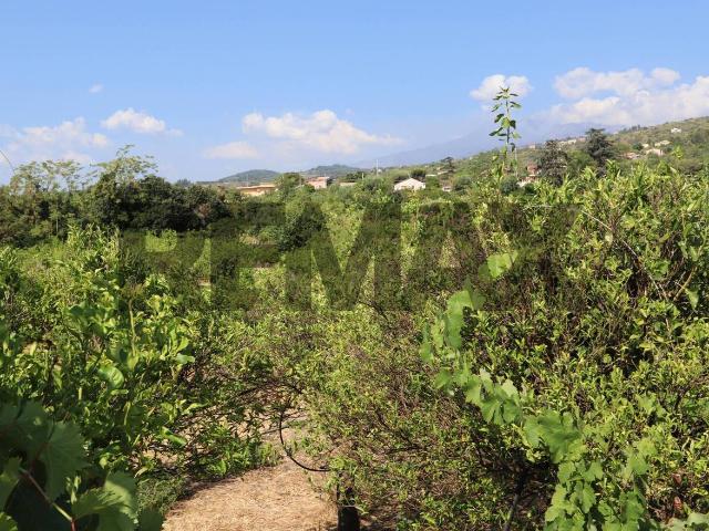 Terreno agricolo in vendita a Mascali