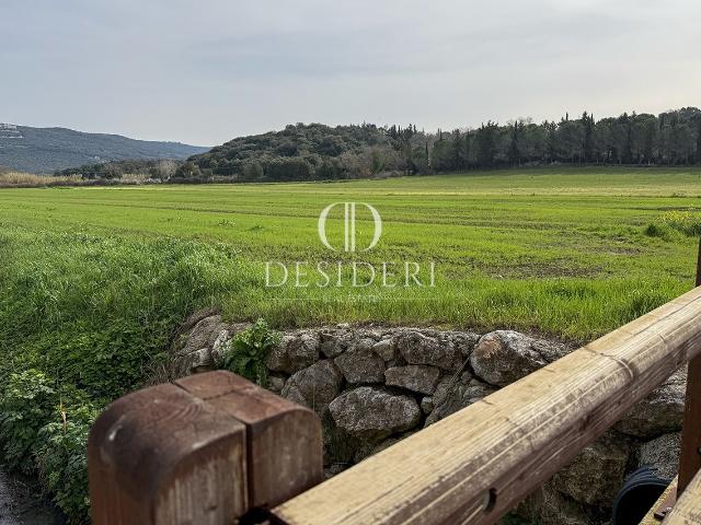TERRENO AGRICOLO in VENDITA a MASSA MARITTIMA VALPIANA
