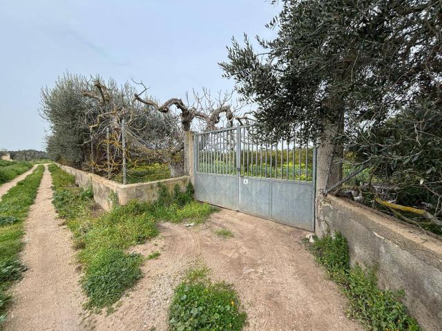 Terreno Agricolo in vendita a Massafra, Localit Pantano