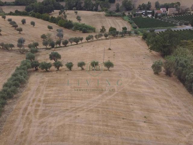 Terreno Agricolo in vendita a Massignano, Campagna