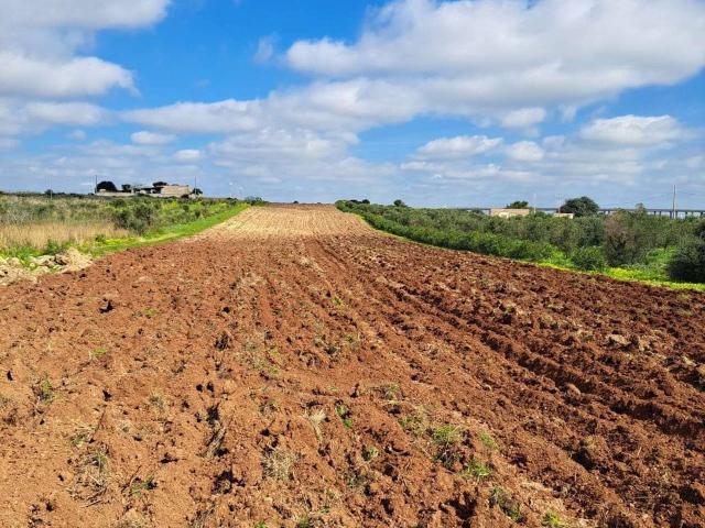 Terreno agricolo in vendita a Mazara Del Vallo