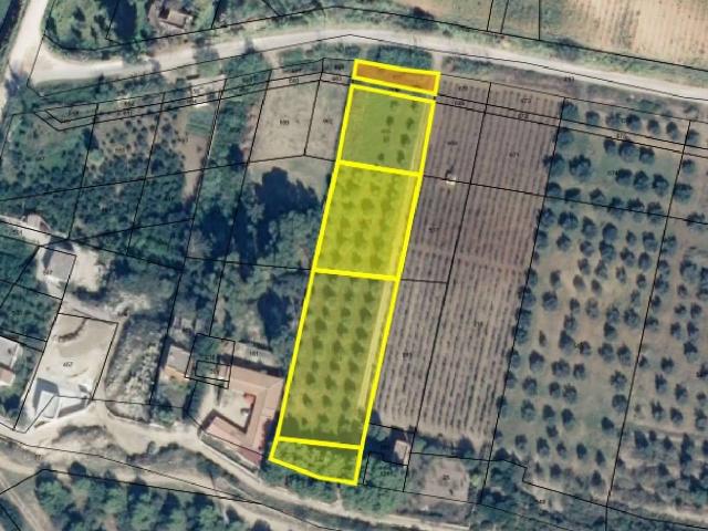 Terreno agricolo in vendita a Mazara Del Vallo