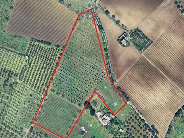 Terreno agricolo in vendita a Mazara Del Vallo