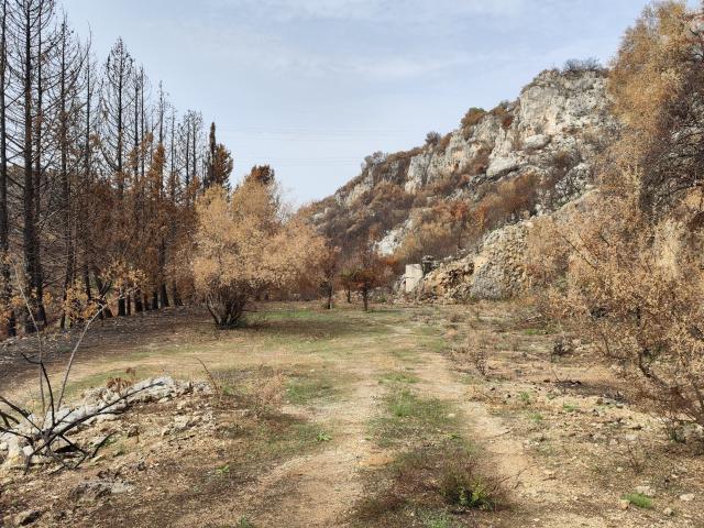 Terreno Agricolo in vendita a Melilli
