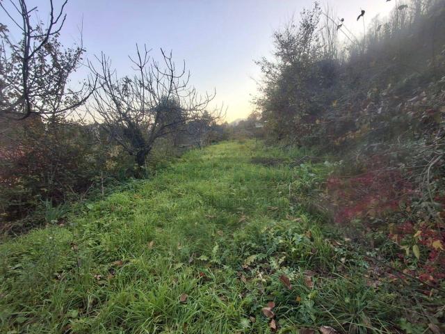 Terreno agricolo in vendita a Mercato San Severino