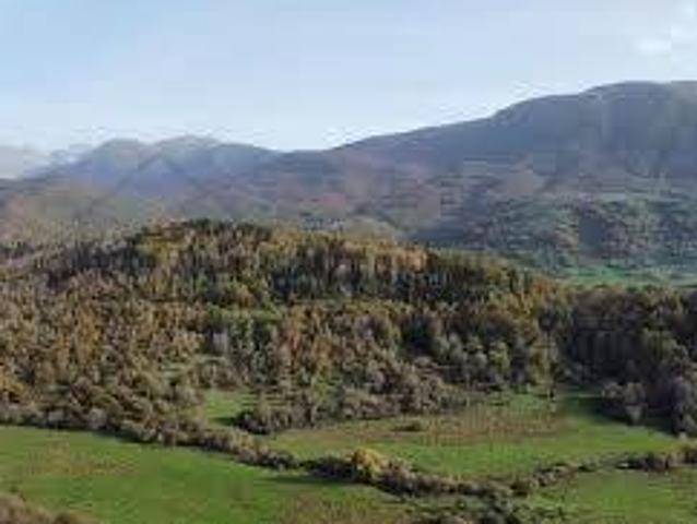 Terreno Agricolo in vendita a Mercato Saraceno, Monte Castello
